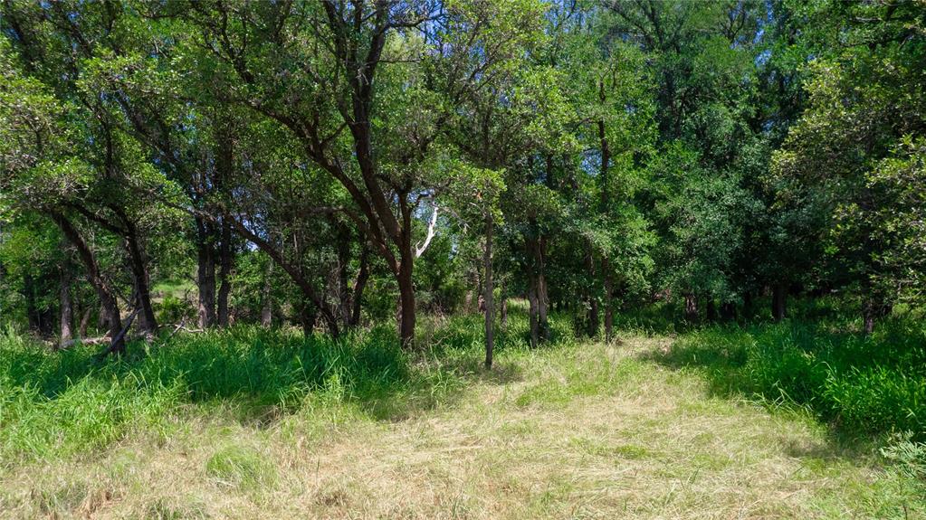 Hog Creek - Land