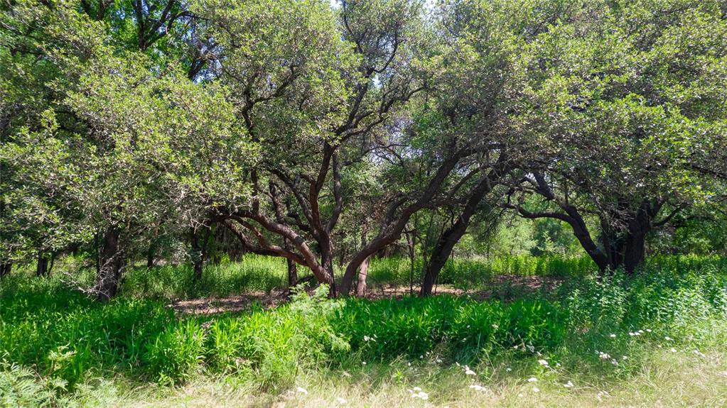 Hog Creek - Land