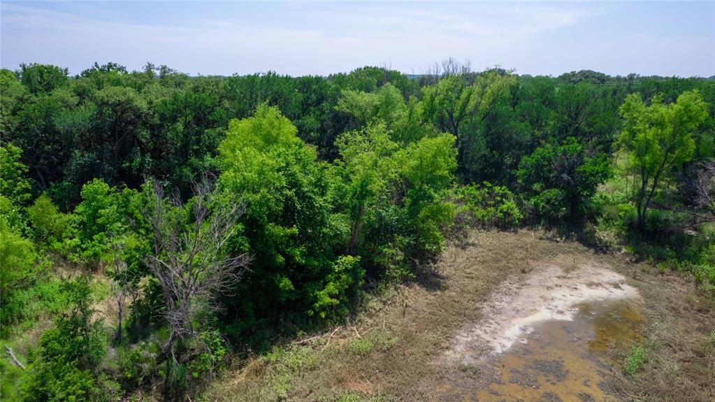 Hog Creek - Land
