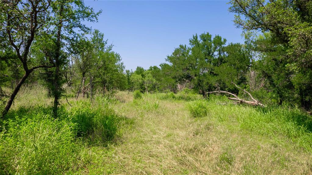 Hog Creek - Land