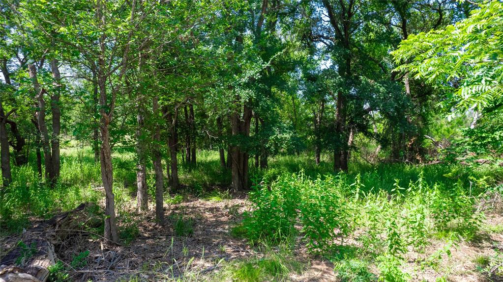 Hog Creek - Land