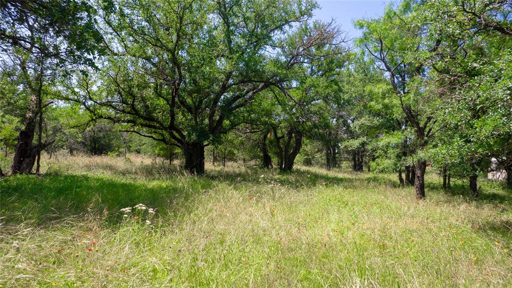Hog Creek - Land