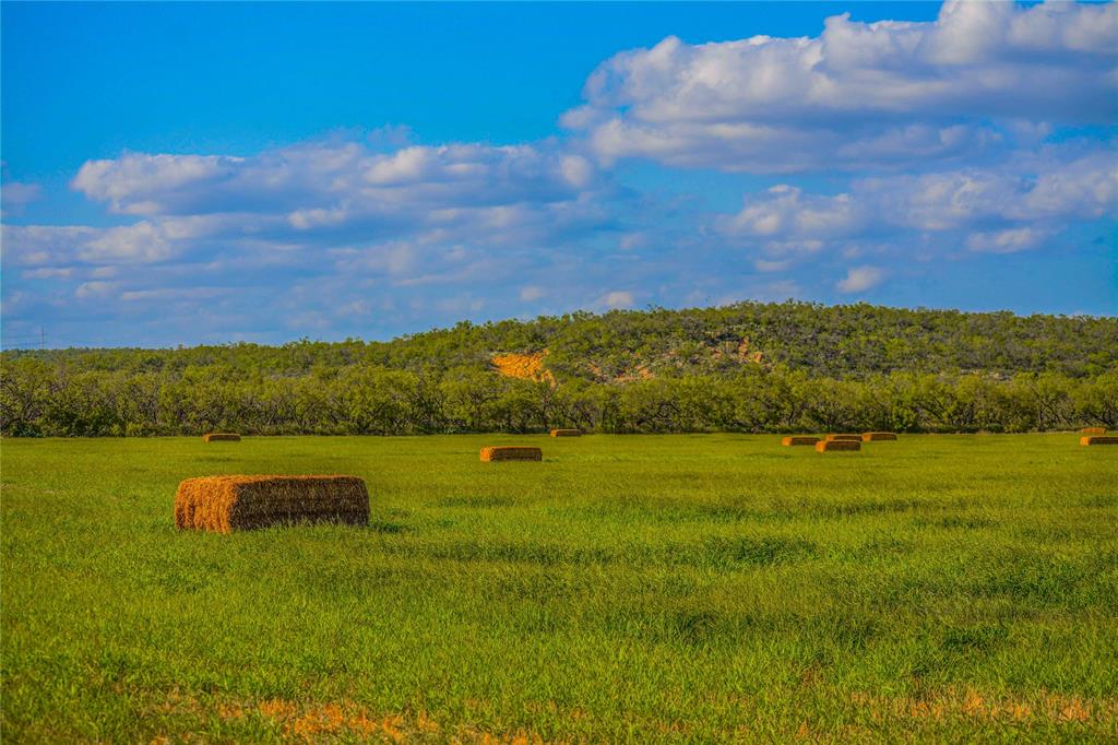 Rural - Farm