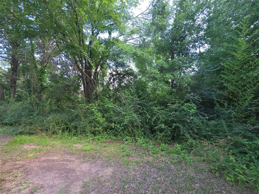 Lakeview Acres - Land