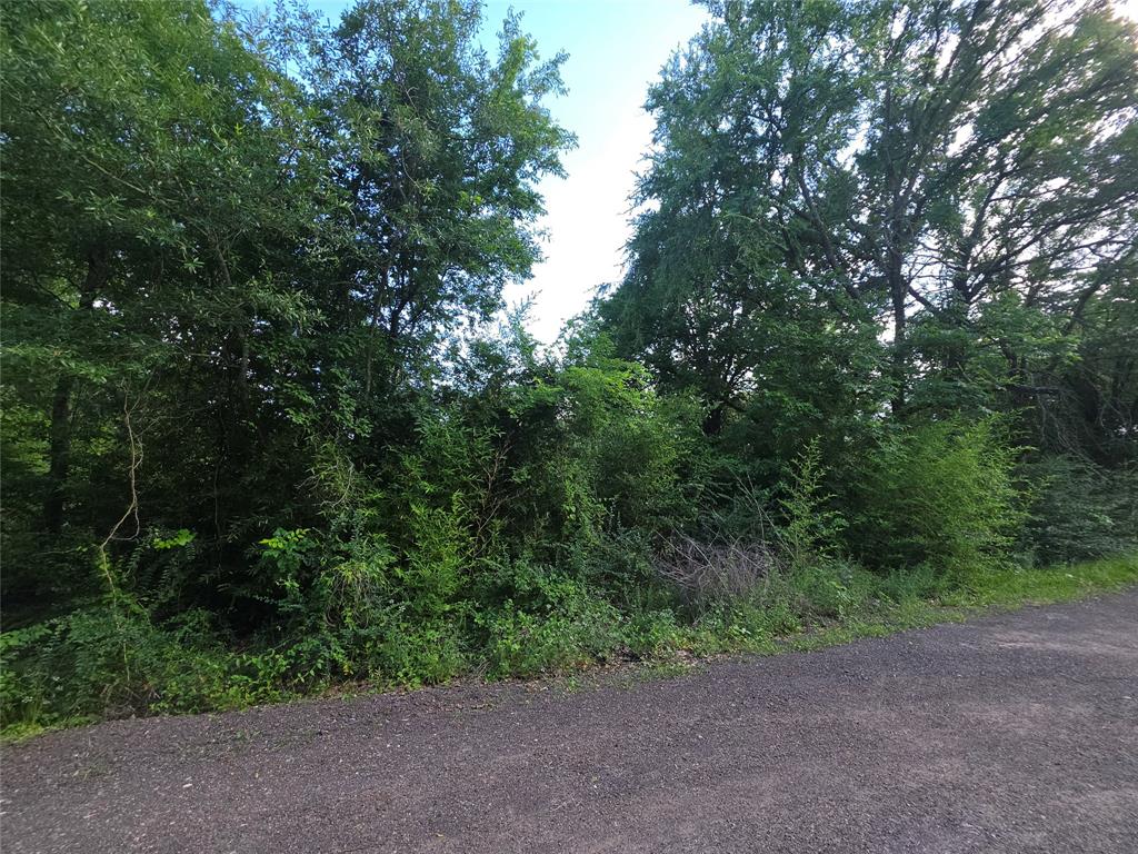 Lakeview Acres - Land