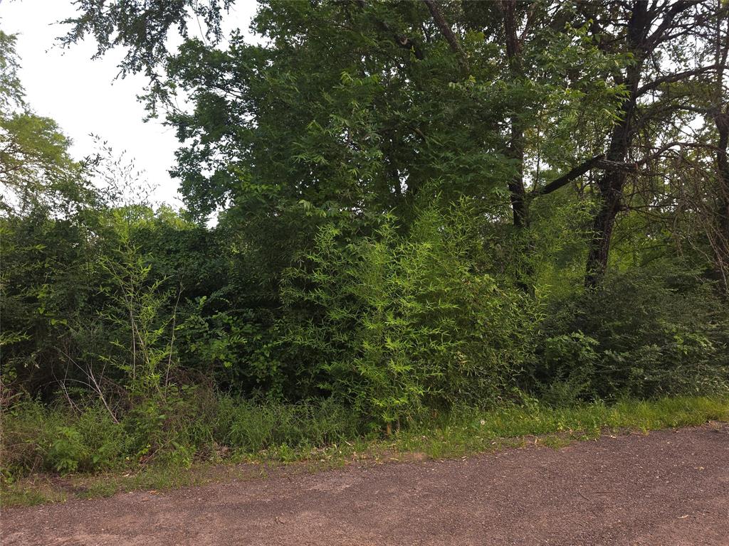 Lake view lots ready for you to build a beautiful home
No Survey
Water and electric available on lot