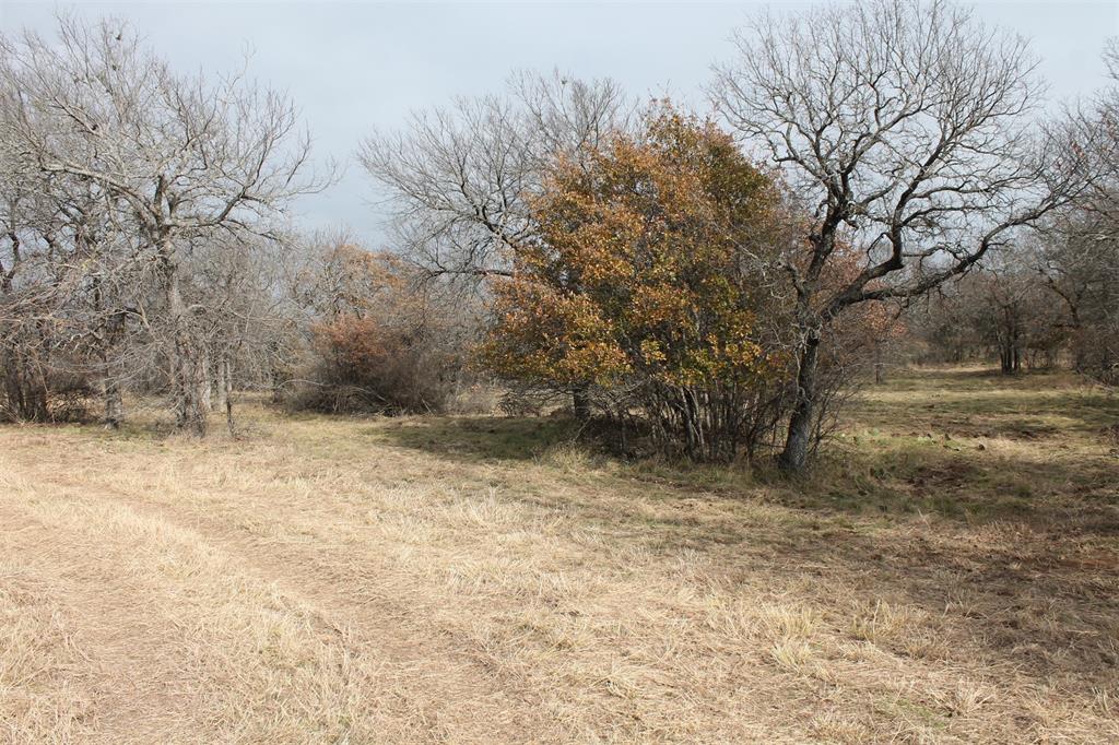 North Star Pointe - Land