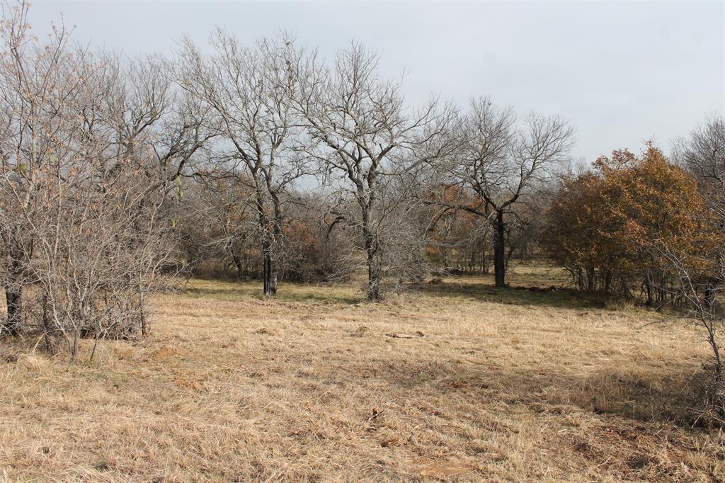 North Star Pointe - Land