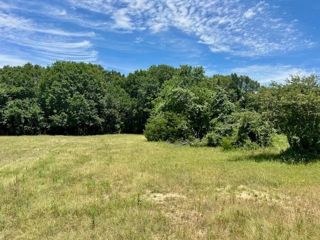 Welcome to 18 gorgeous acres of gently rolling pasture, framed by a wooded backdrop and a natural ravine or creek that brings peace and privacy. The property includes two holding pens, lean-to sheds, and an old farmhouse at the road that could be restored or used for storage.

With two deep wells, city water, and septic already installed, the hard work is done. This land is truly a blank canvas—ideal for building your dream home, barndominium, or creating the homestead you’ve always imagined.

A property like this doesn’t come around often. Schedule your visit today and bring your offer.