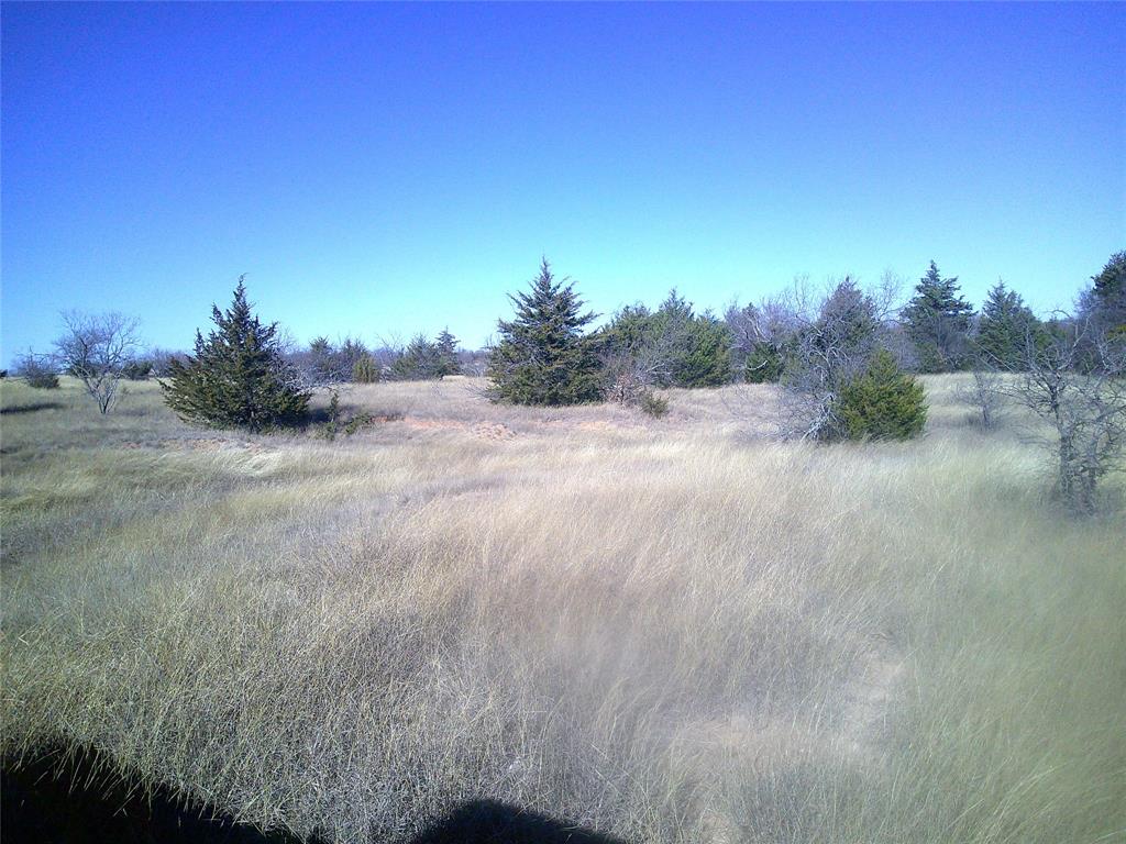 Cedar Hill - Land