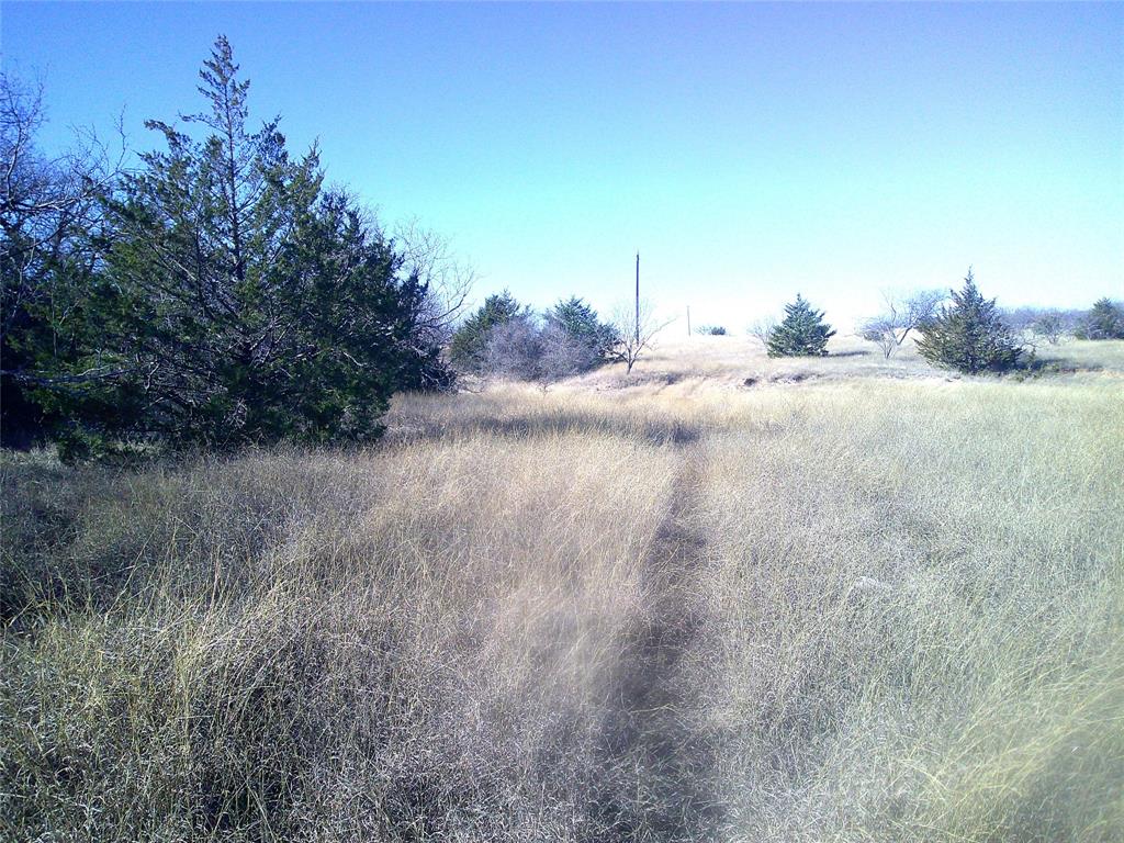 Cedar Hill - Land