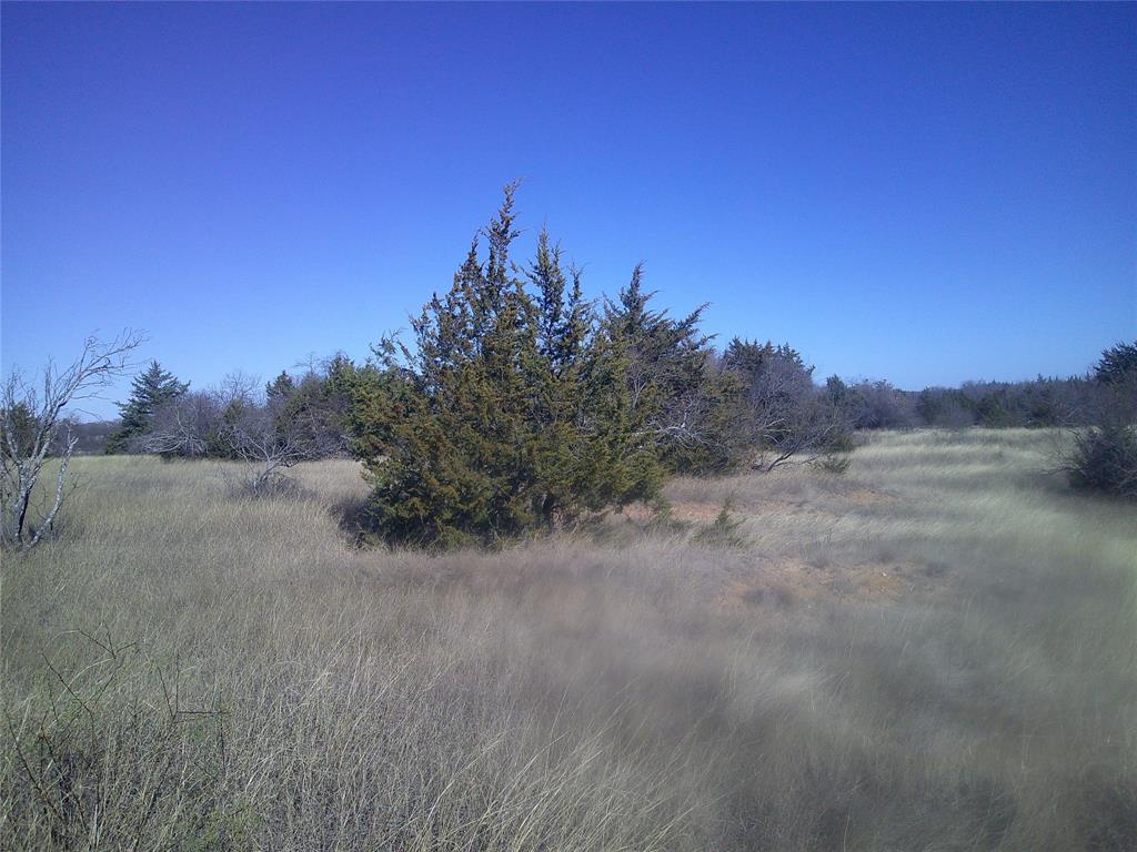 Cedar Hill - Land