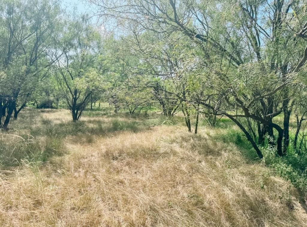 A-116 - Land