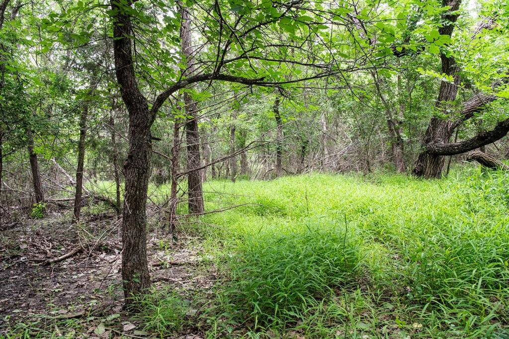 Saddlecrest Estates - Land