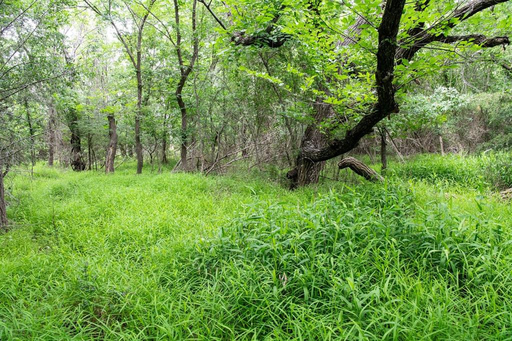 Saddlecrest Estates - Land