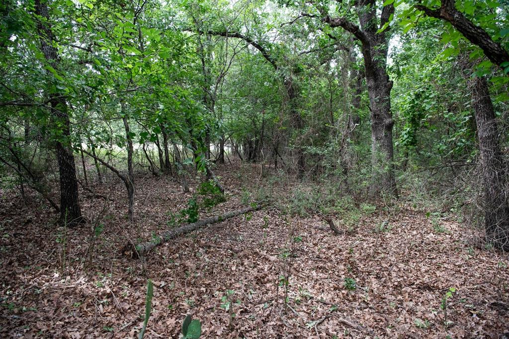 Saddlecrest Estates - Land
