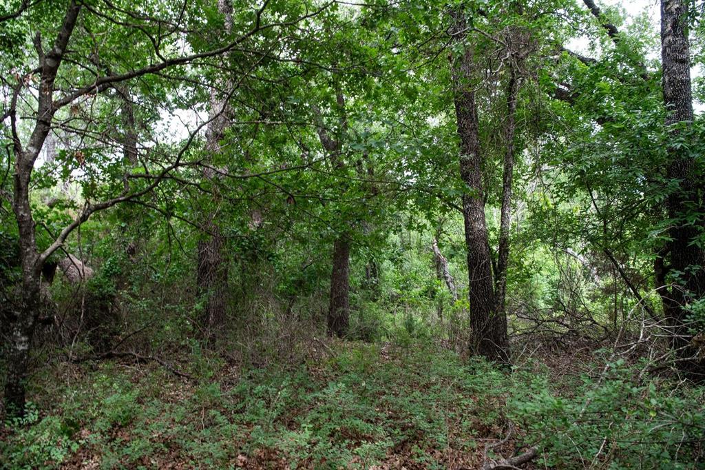 Saddlecrest Estates - Land