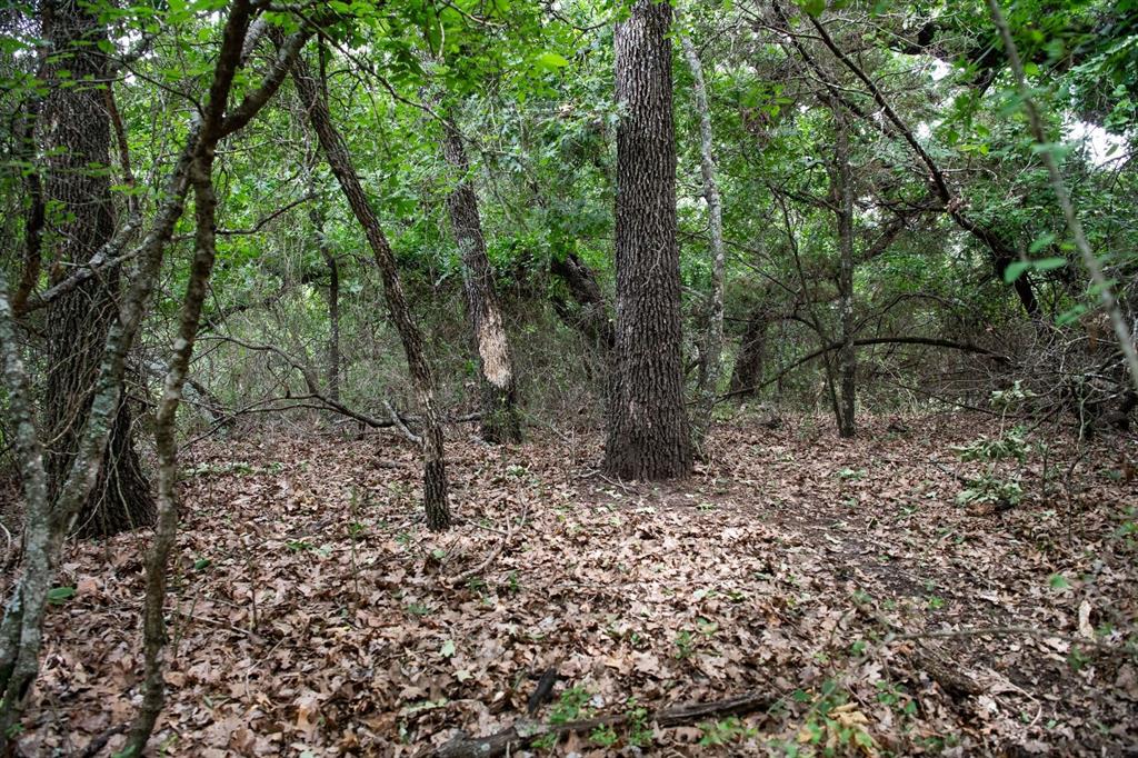 Saddlecrest Estates - Land