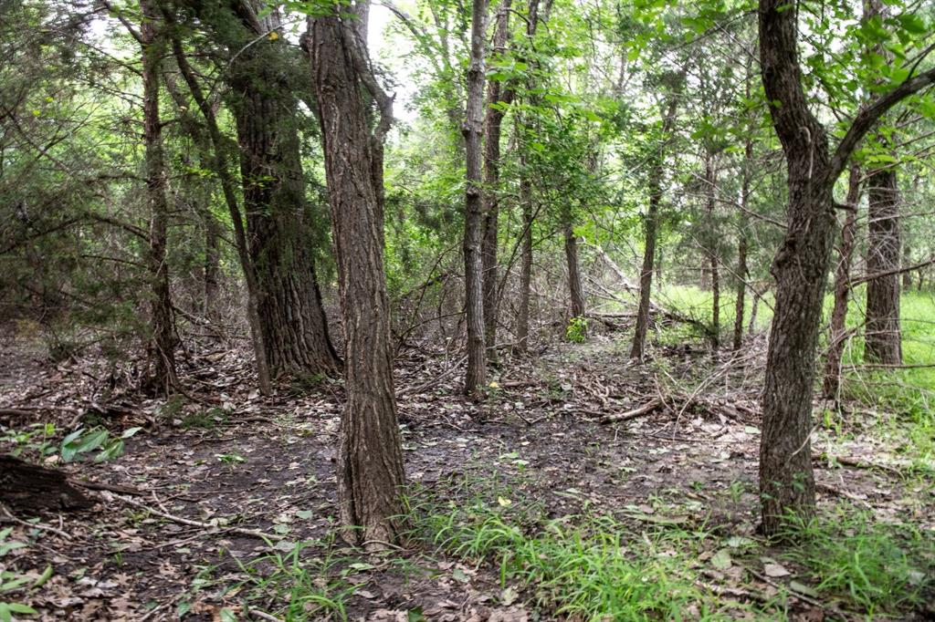 Saddlecrest Estates - Land