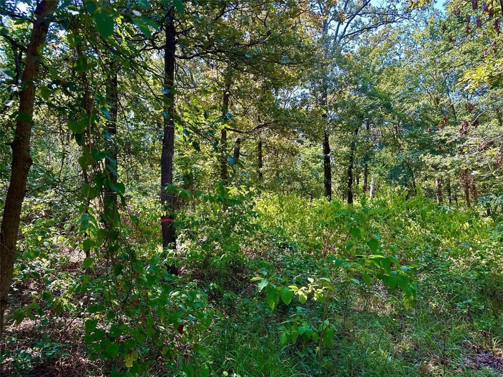 Rocky Ridge - Land
