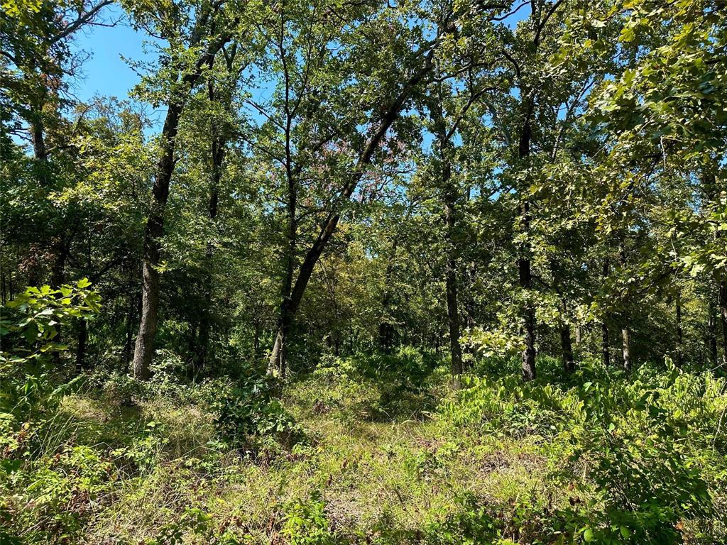 Rocky Ridge - Land