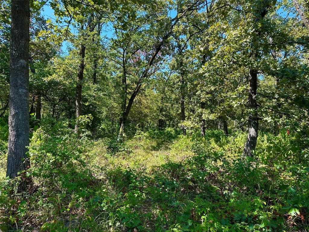 Rocky Ridge - Land