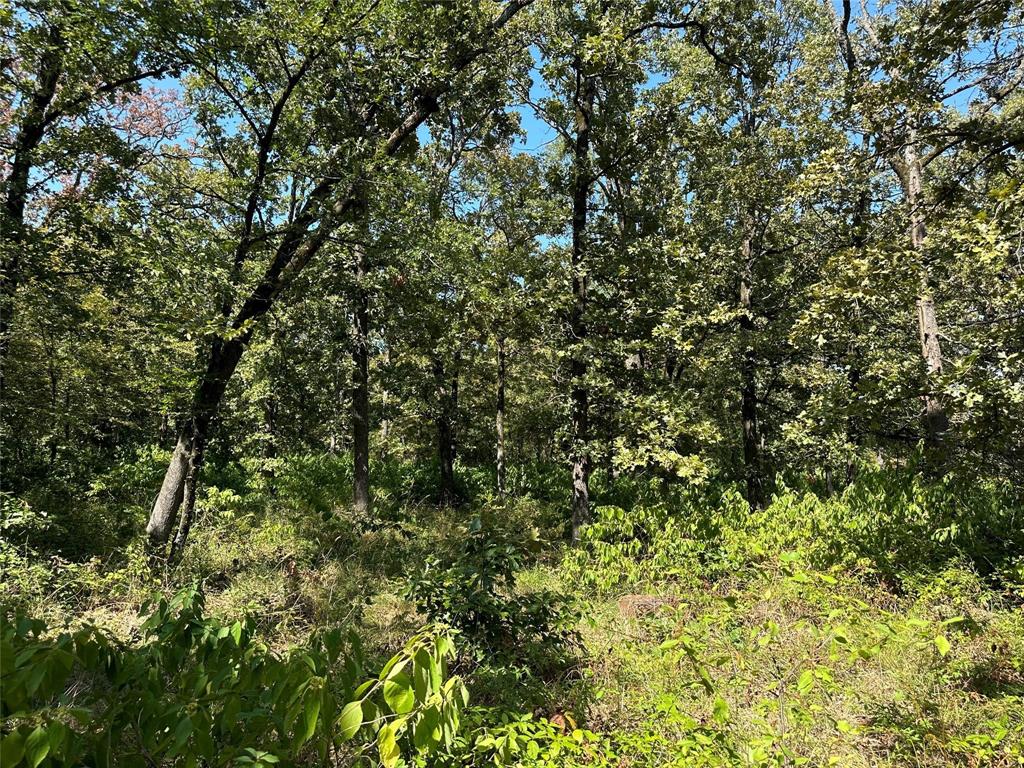 Rocky Ridge - Land