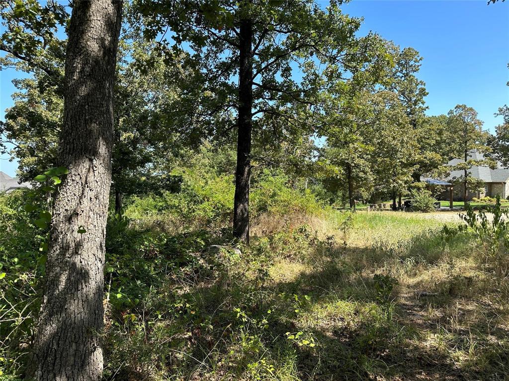 Rocky Ridge - Land