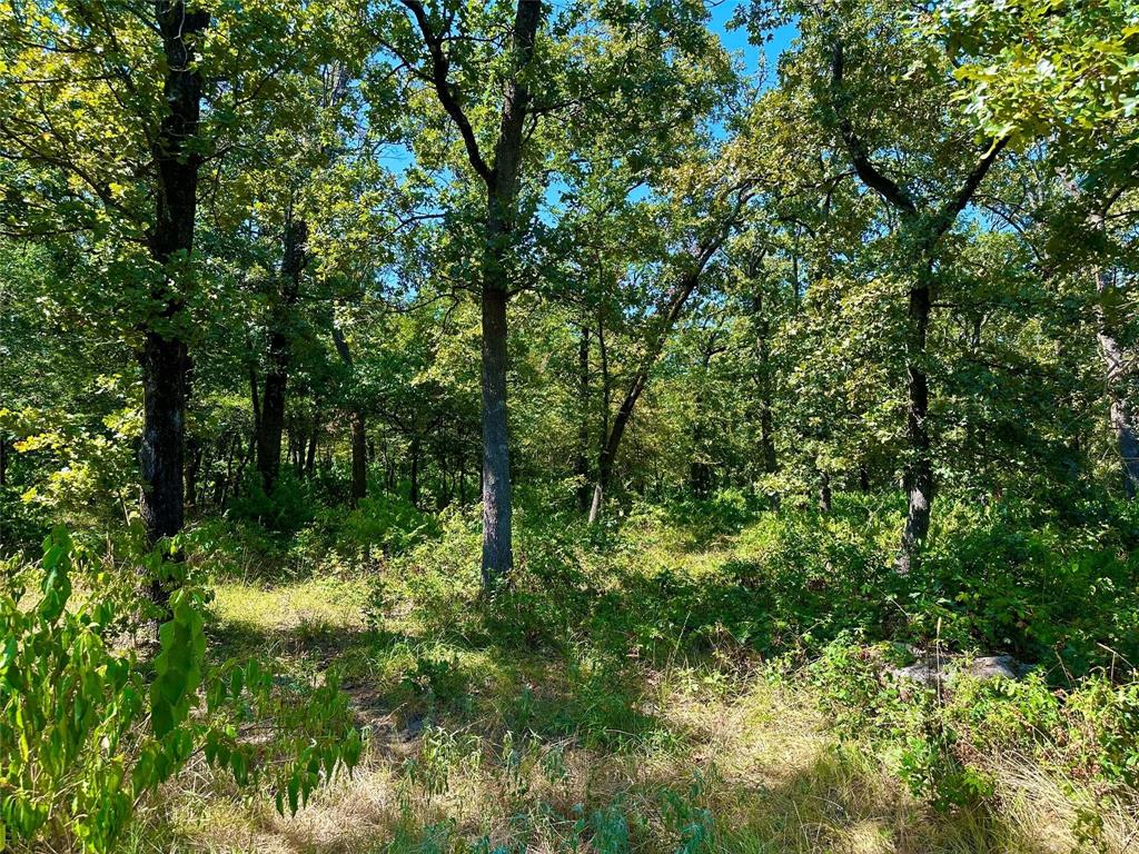 Rocky Ridge - Land