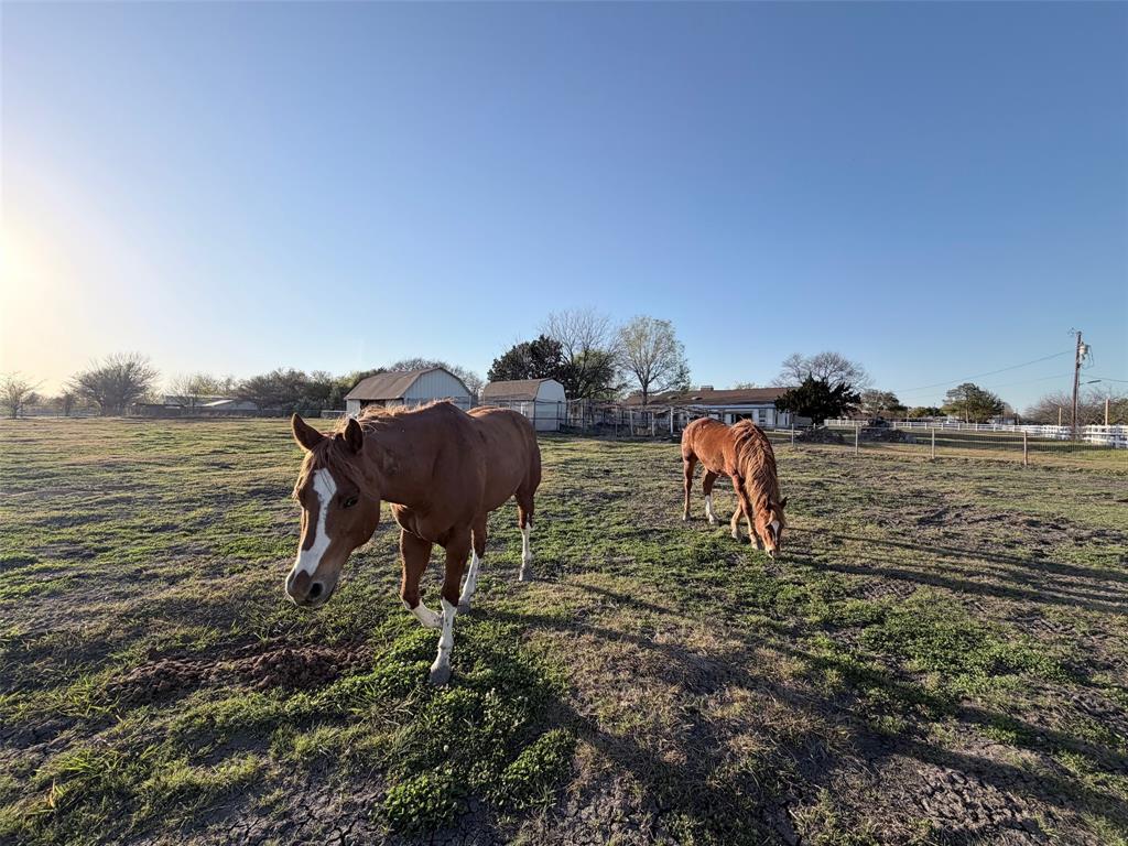 Sachse Ranch Estates - Residential