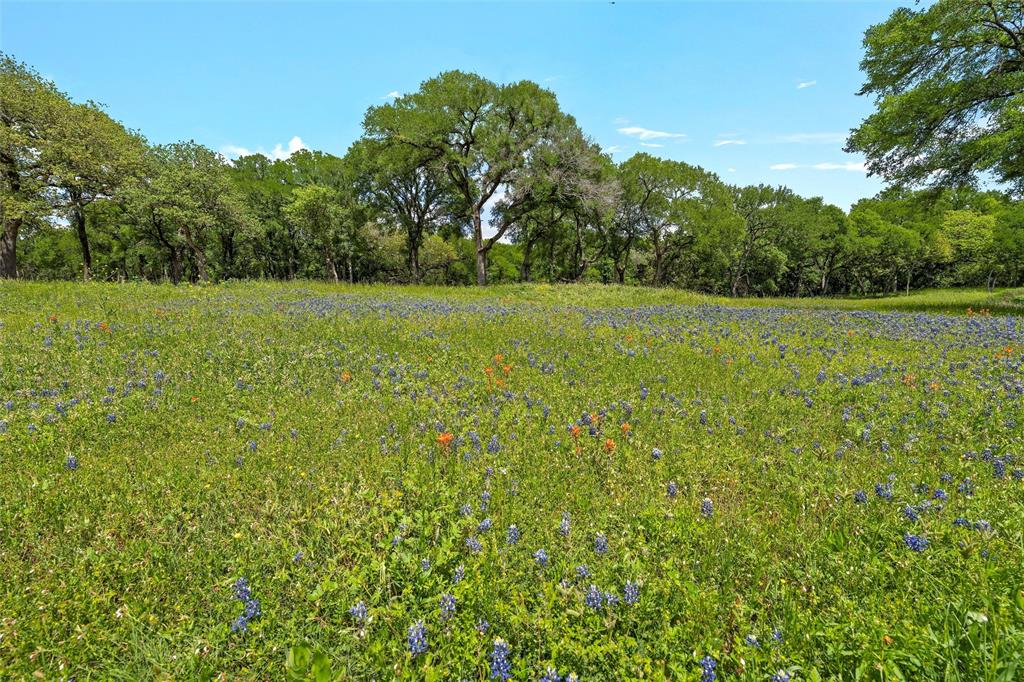 Keys on the Brazos - Land