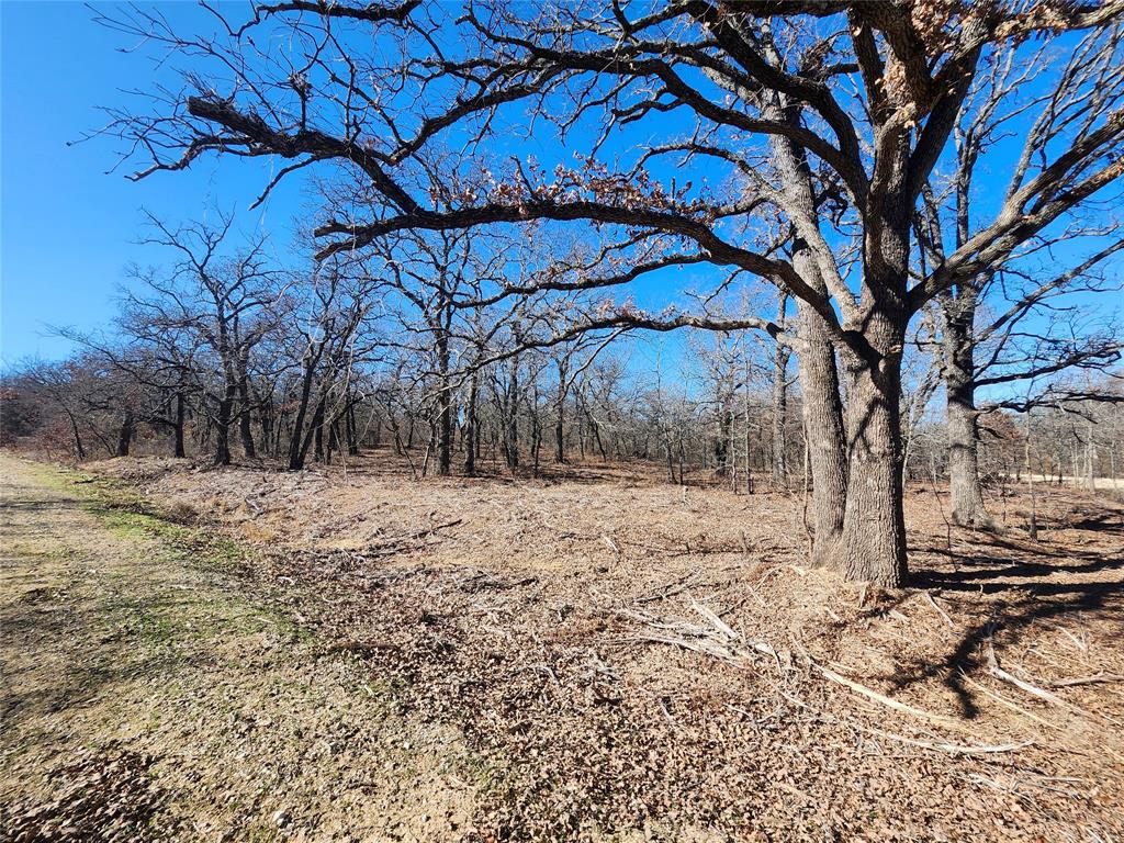 Nocona Hills - Land