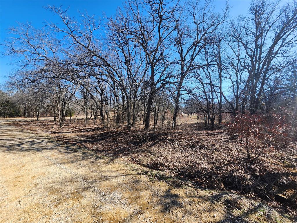 Nocona Hills - Land