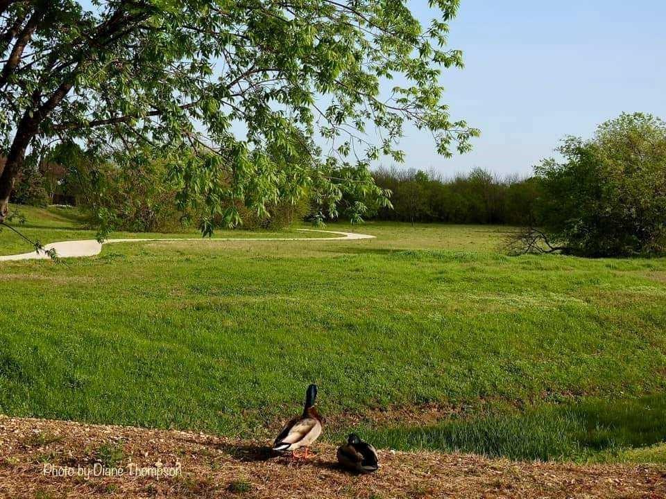 Park Bend Estates Add - Residential