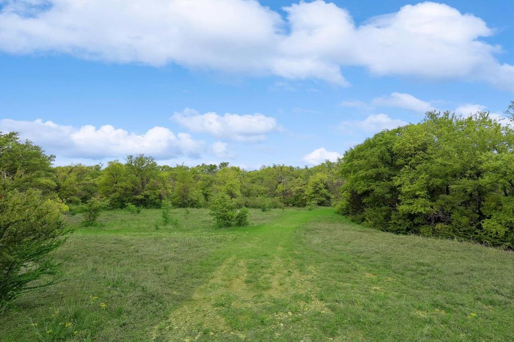 Downing - Farm