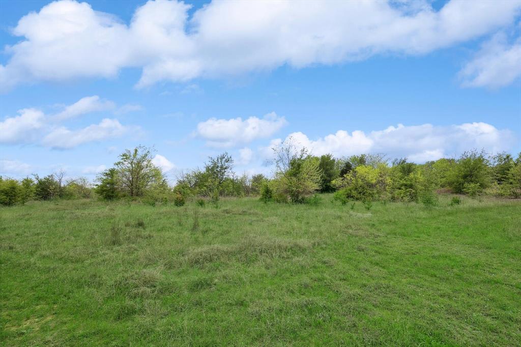 Downing - Farm