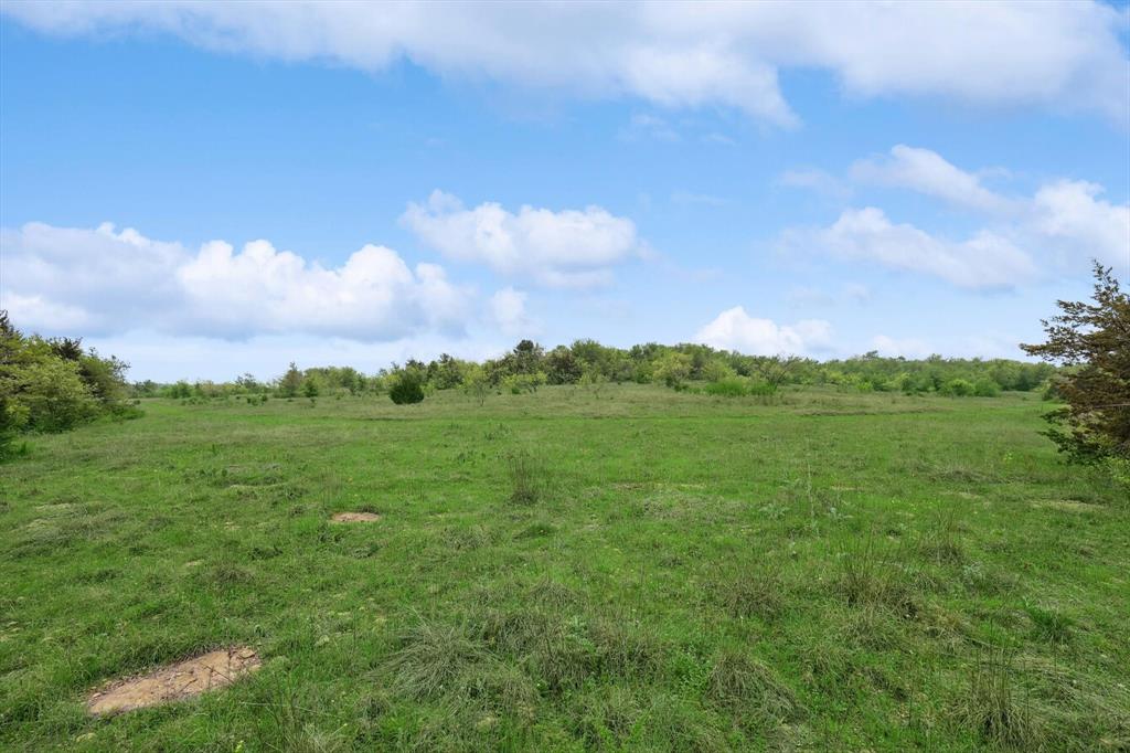 Downing - Farm