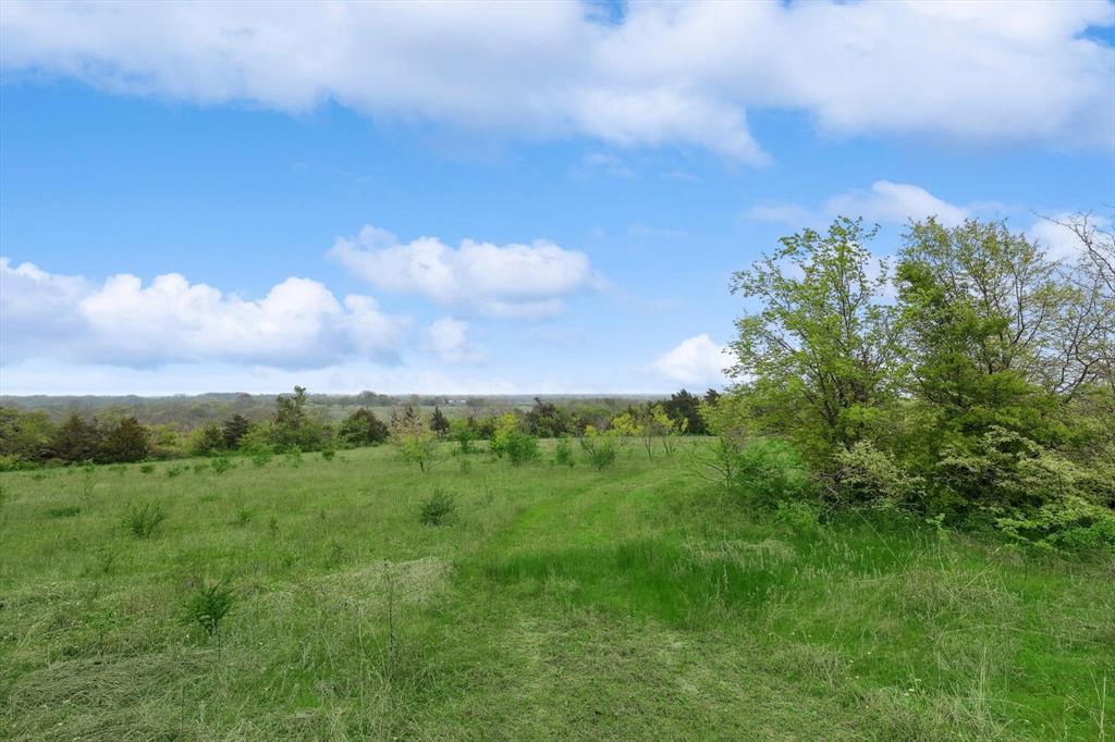 Downing - Farm