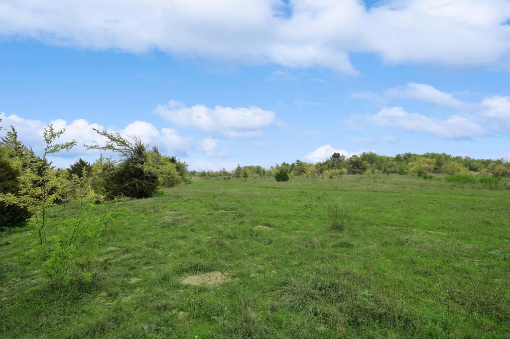 Downing - Farm