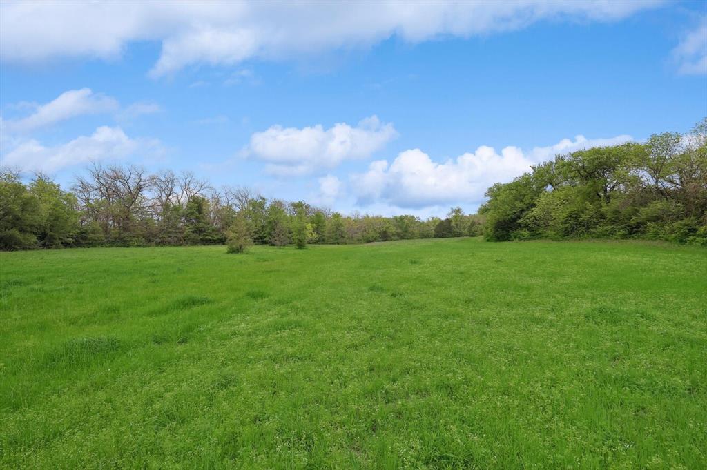 Downing - Farm