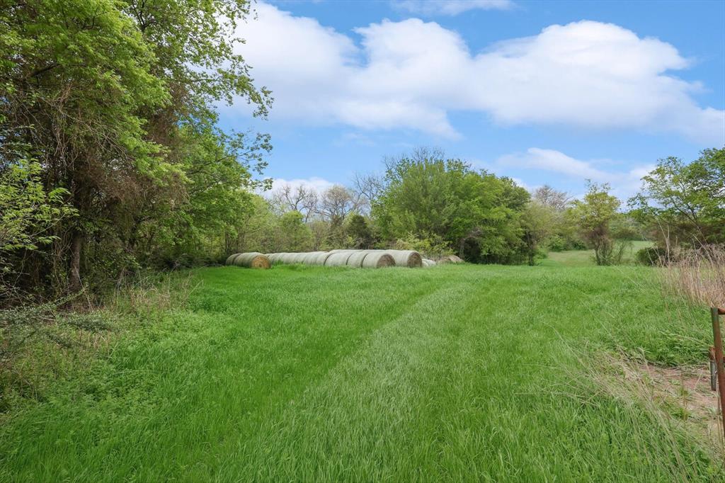 Downing - Farm