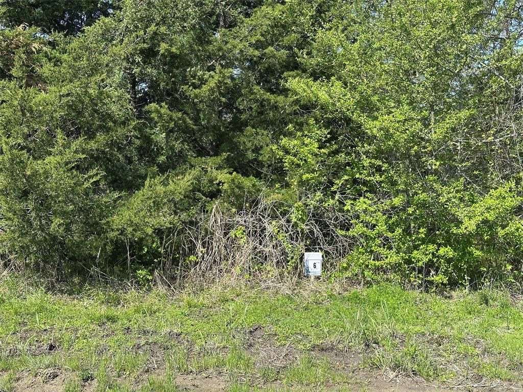Rare Opportunity to purchase 5 acres of hard-to-find land near the brand-new Bois D Arc Lake. With the lake estimated to open in 2024, secure your property while it is still affordable. Bois D'Arc Lake Estates is offering introductory pricing on the first 10 lots sold before prices are raised 40% on the remaining 14 parcels. Beautiful, scattered hardwood trees on nice roads close to the public boat ramps on FM 897. Water is now available along FM 1743 parcels and will be extended to all parcels soon. These lots fall into the new lake zoning of 5-acre minimum parcels. 24 parcels in total are being offered in 5- and 10-acre configurations. TX.D.O.T. culvert permits have been submitted and Water Will-Serve letters are in-hand. Septic is required. Lake is about 90% full and opens to boats soon. The lots are on the FUN side of the lake designed for recreational boating. Owner Lending, 15% Down, 10% Interest, 5 Year Note.  Purchase of this tract will come with a new 30x30x12 metal shop. Includes delivery and installation, but no concrete foundation is included.