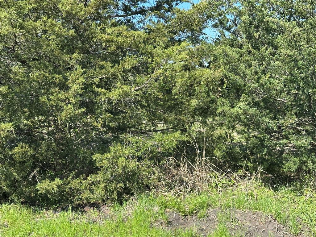 Bois D'Acre Lake Estates - Land