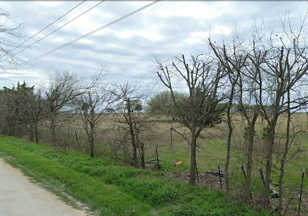 Z Wilson - Land