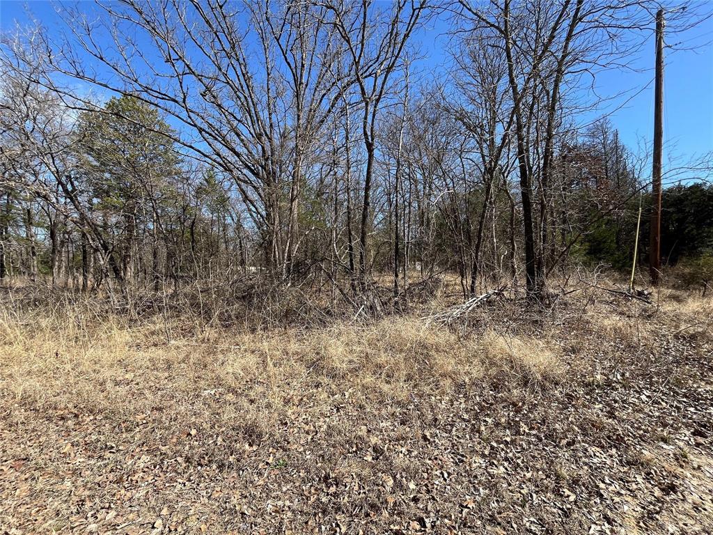 SECLUEDED lot out in the country, heavily treed and no known restrictions. Perfect place for an RV or tiny home. QISD and more! Buyer to verify all access to water, electric and permit for a septic sys thru Sabine River Authority. CAD has address off of CR 3605 but known address is 9695 Private Rd 3792. Will need a new survey.