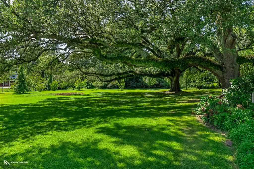 This picturesque property includes 53 acres and over 1,000 foot of frontage on Twelve Mile bayou.It boasts 2 stocked ponds with bream,catfish,bass and a wildlife pond in the back pasture with ducks and White-tailed deer.The massive front yard features six registered Native Live Oaks boasting ages from 150 to 300 years old.There are 10 acres of mature pine trees, cleared pasture areas for horses,pecan orchard in back pasture area ,two metal horse barns with 17 stalls and 2 stud pens,a horse walker, greenhouse, and small fenced area for dogs. It also boasts a large equipment pavillion with an attached 40x20 foot workshop RV storage that is heated, cooled, and has water. There is a one bedroom cottage style apartment above the two car garage to the right of the main house.You will love relaxing by the beautiful heated flagstone lagoon pool with a 12 person spa and waterfall. Enjoy the stunning stone lined beds filled with daylilies,azaleas,roses,english ivy,Natchez white Crepe Myrtles, blue flowering vitex trees and more. And that is just the outside. The lovely main house circa 1920 features a inviting full length concrete porch.The home is framed and built almost entirely of Louisiana Cypress making it extremely unique. You will love the oak hardwood floors and 10 foot ceilings.Entertaining is easy with a custom 14 foot handmade cypress dining table and sideboard that remain.The kitchen is equipped with a large island,bosch dishwasher, wine fridge, 36 in Bertazzoni gas range with electric convection oven, and whirlpool ice maker. Each bedroom has its own bathroom and The oversized clawfoot tub and newly renovated shower in the primary bedroom makes it an amazing owners retreat. Oh and I can't forget about the 80kw whole house generator, 3 water wells ,irrigation system, and that the mineral rights are to be conveyed with this magnificent property. 3 tracts including a 5.43 acres tract with separate address and 24 acres zoned AV agricultural use.Call for more details