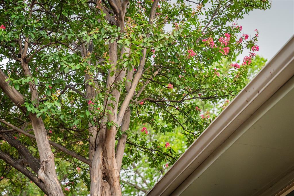 Winnetka Heights - Residential