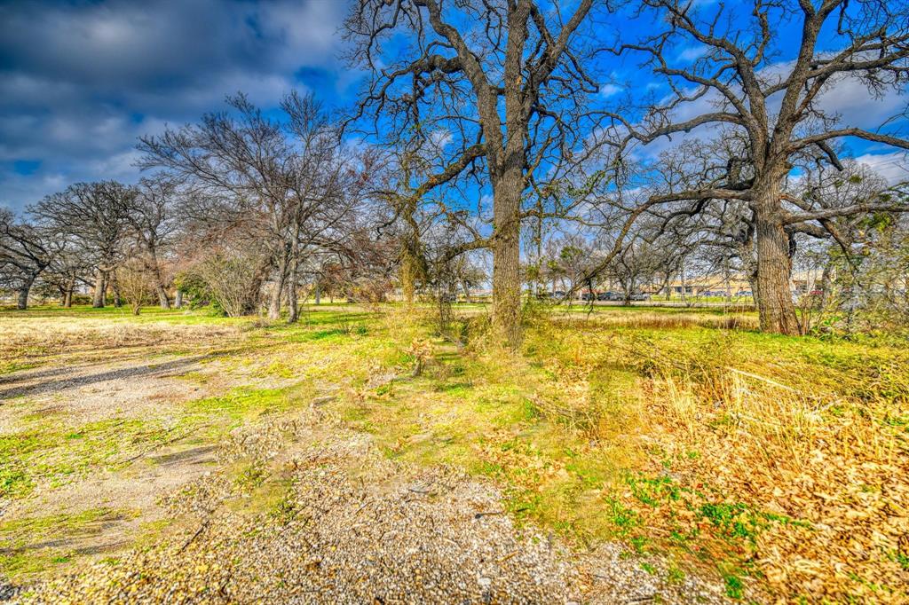 Sherwood Forest 01 - Land