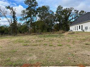 Silver Point at Lakeside - Land