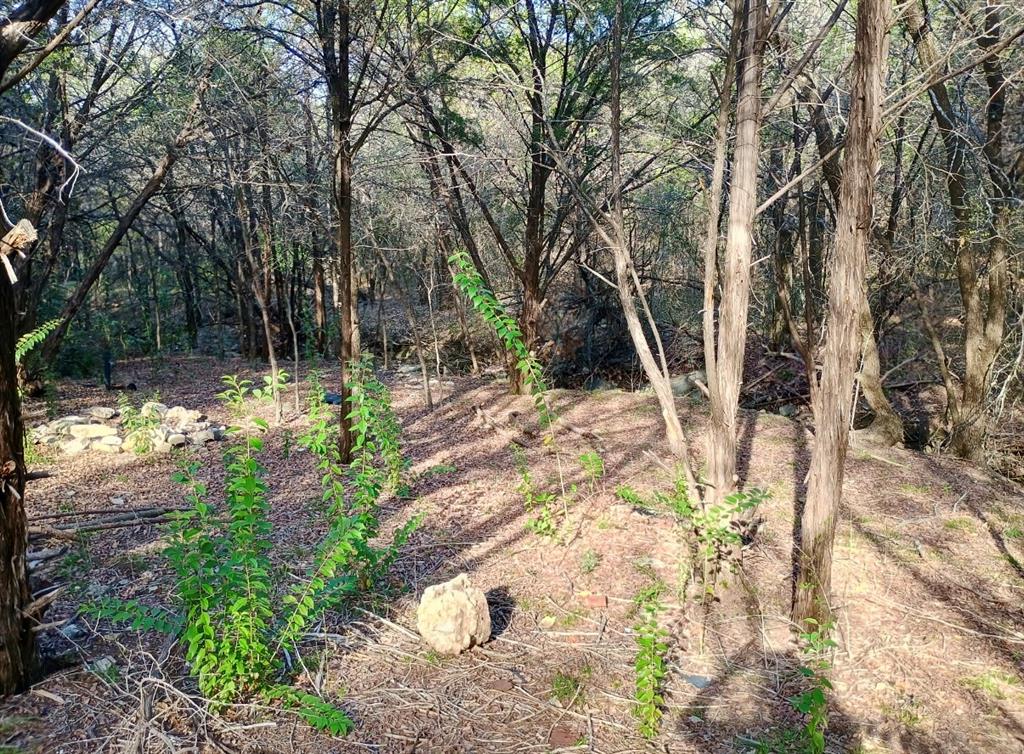 Discover the perfect spot to build your next home or investment property in the peaceful community of Comanche Harbor! This .29-acre residential lot sits among mature trees, and with a babbling brook running though it, this property offers relaxation, privacy and a natural backdrop that’s hard to find. With a little clearing, this lot could become the foundation for a stunning new construction home.

Located just minutes from Bowser Lake and the Brazos River, you’ll have outdoor recreation right in your backyard — fishing, boating, and beautiful Texas sunsets included. Plus, you’re only a 10-minute drive to historic Downtown Granbury, where charming shops, restaurants, and lakefront fun await.

Whether you’re a builder, developer, or investor, this property offers incredible potential in one of North Texas’ most beloved lake communities.